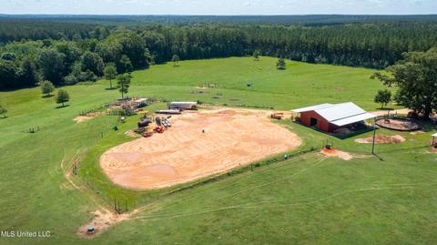 2291 Scr 70, Mize, MS 39116 photo 57