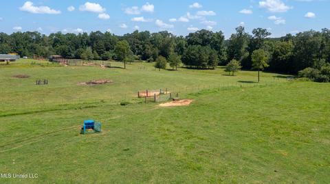 2291 Scr 70, Mize, MS 39116 photo 48