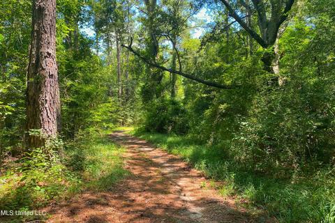 2291 Scr 70, Mize, MS 39116 photo 50