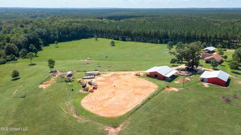 2291 Scr 70, Mize, MS 39116 photo 2