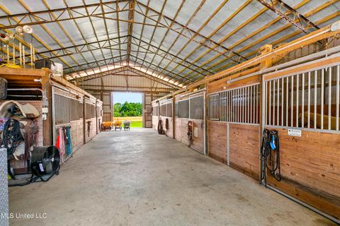 2291 Scr 70, Mize, MS 39116 photo 6