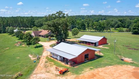 2291 Scr 70, Mize, MS 39116 photo 3