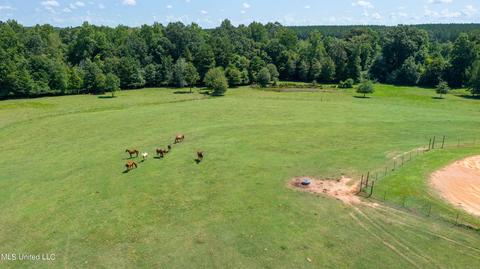 2291 Scr 70, Mize, MS 39116 photo 56