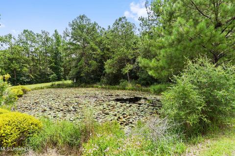155 Loblolly Rd, Lucedale, MS 39452 photo 22