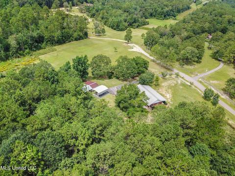 155 Loblolly Rd, Lucedale, MS 39452 photo 28
