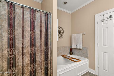 168 Mandarin Dr, Brandon, MS 39047 photo 40