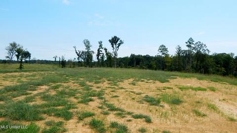 6404 Pea Ridge Rd, Grenada, MS 38901