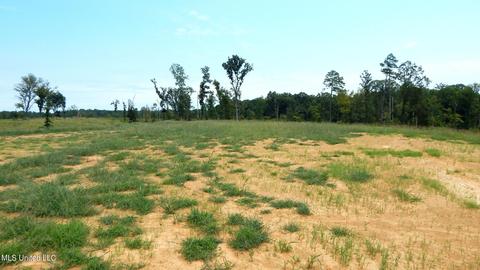 6404 Pea Ridge Rd, Grenada, MS 38901 photo 7