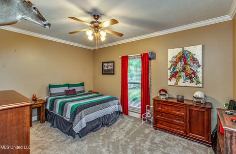 599 Hazelton Dr, Madison, MS 39110 photo 26