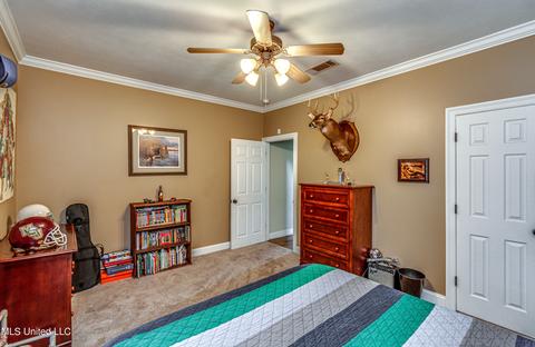 599 Hazelton Dr, Madison, MS 39110 photo 28