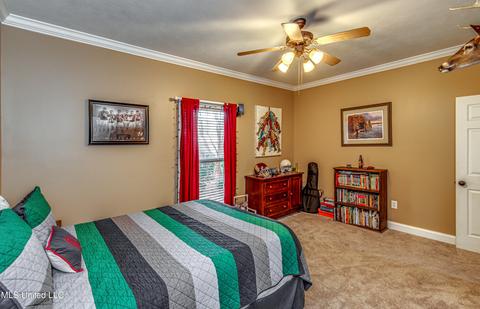 599 Hazelton Dr, Madison, MS 39110 photo 27