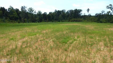 6414 Pea Ridge Rd, Grenada, MS 38901