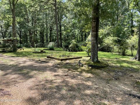 124 Lynn St, Florence, MS 39073 photo 2