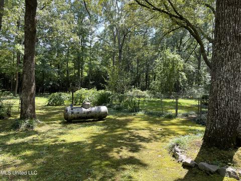 124 Lynn St, Florence, MS 39073 photo 4