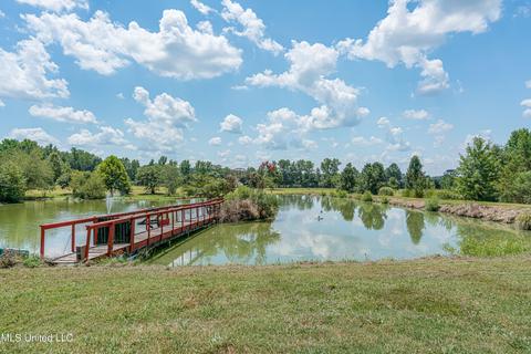 6801 Vaiden Rd, Hernando, MS 38632 photo 44