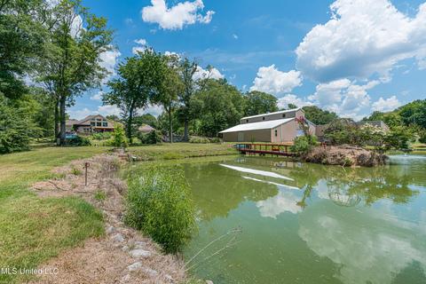 6801 Vaiden Rd, Hernando, MS 38632 photo 46