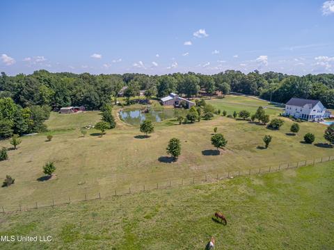 6801 Vaiden Rd, Hernando, MS 38632 photo 64