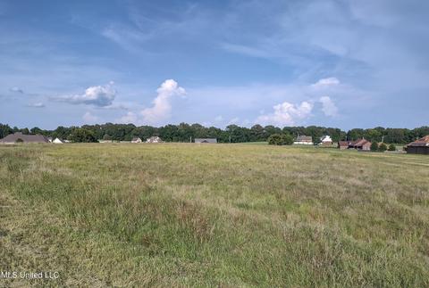 2836 Oak Grove Cv, Hernando, MS 38632 photo 1