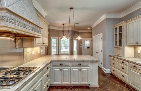 113 Mickie Dr, Brandon, MS 39042 photo 28