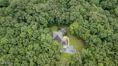 113 Mickie Dr, Brandon, MS 39042 photo 76