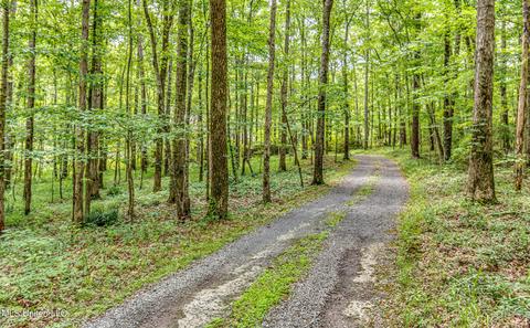 113 Mickie Dr, Brandon, MS 39042 photo 6