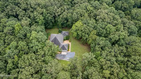 113 Mickie Dr, Brandon, MS 39042 photo 69