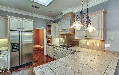 113 Mickie Dr, Brandon, MS 39042 photo 23
