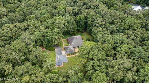 113 Mickie Dr, Brandon, MS 39042 photo 71