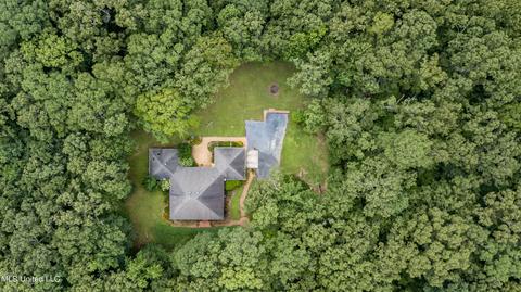 113 Mickie Dr, Brandon, MS 39042 photo 73