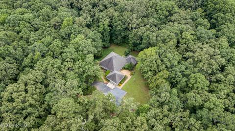 113 Mickie Dr, Brandon, MS 39042 photo 70