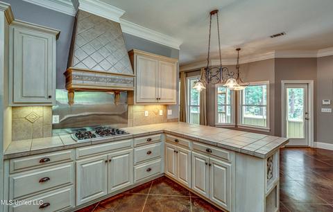 113 Mickie Dr, Brandon, MS 39042 photo 24