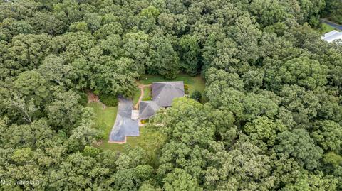 113 Mickie Dr, Brandon, MS 39042 photo 72