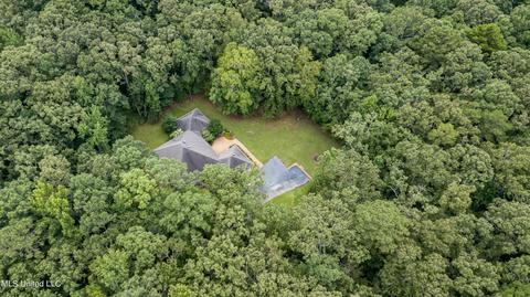 113 Mickie Dr, Brandon, MS 39042 photo 68