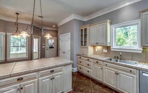 113 Mickie Dr, Brandon, MS 39042 photo 25