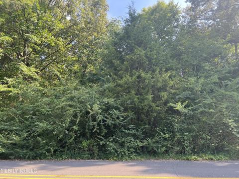 475 Larue Dr, Hernando, MS 38632
