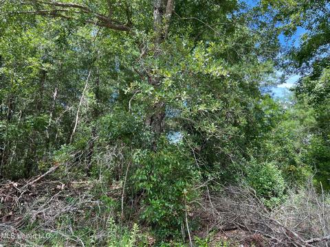 lot31 Sampras Blvd, Vancleave, MS 39565