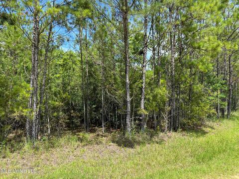 lot111 River Pl, Vancleave, MS 39565