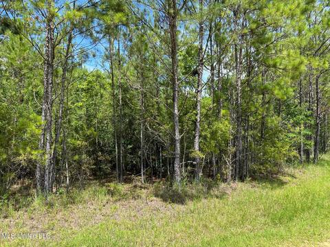lot98 River Pl, Vancleave, MS 39565