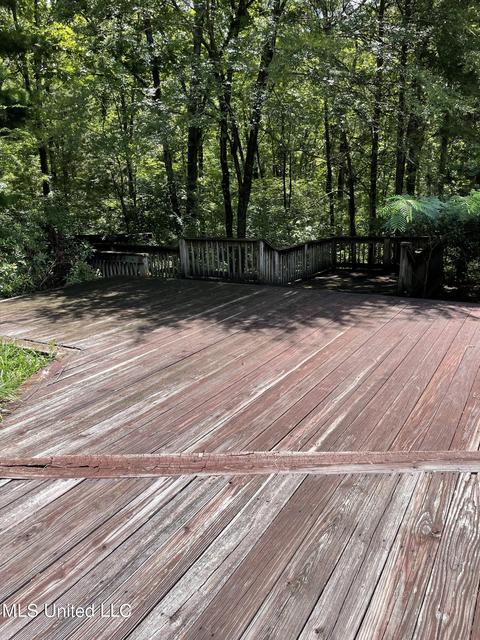 290 Lake Castle Rd, Madison, MS 39110 photo 38
