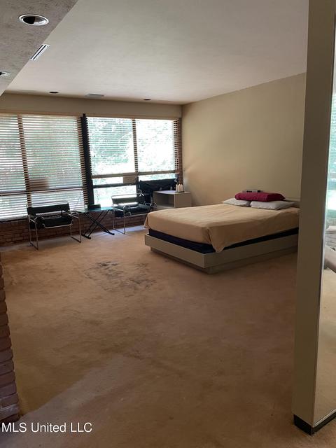 290 Lake Castle Rd, Madison, MS 39110 photo 13
