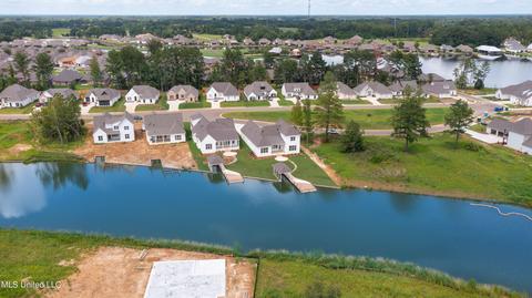 124 Herons Bay Cir, Madison, MS 39110 photo 61
