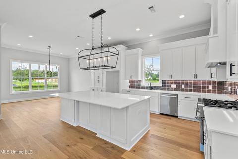 124 Herons Bay Cir, Madison, MS 39110 photo 10