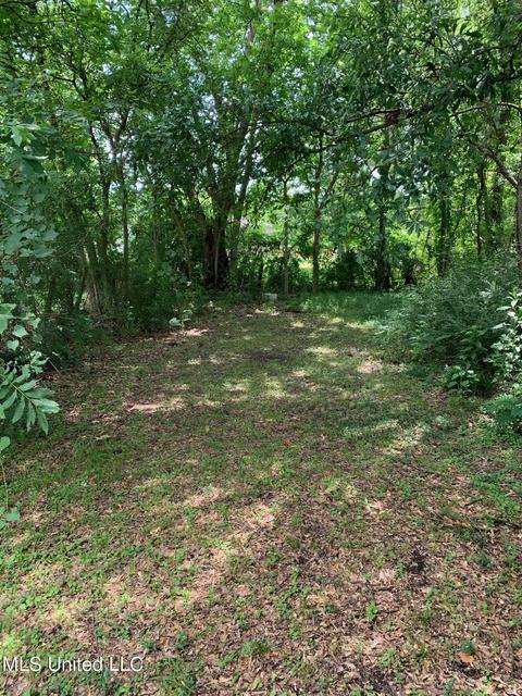 353 Walnut St, Canton, MS 39046 photo 7