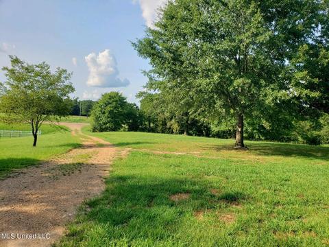 873 Highway 72, Lamar, MS 38642 photo 12