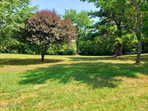 873 Highway 72, Lamar, MS 38642 photo 7