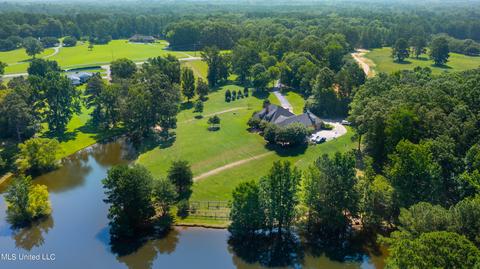 969 Luckney Rd, Brandon, MS 39047 photo 87