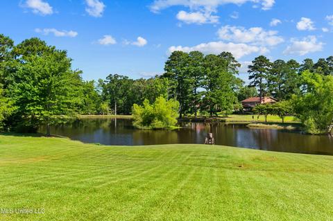 969 Luckney Rd, Brandon, MS 39047 photo 72