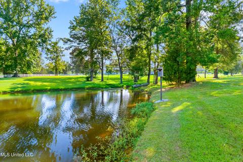 969 Luckney Rd, Brandon, MS 39047 photo 74