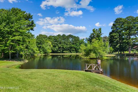 969 Luckney Rd, Brandon, MS 39047 photo 73