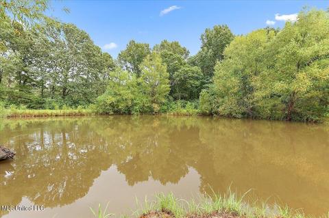 1303 Hickory Ln, Terry, MS 39170 photo 32